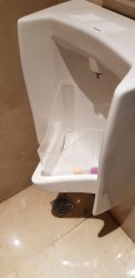 20190426_160527.jpg