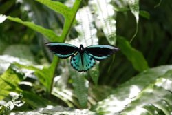 DSC00446 (Medium).JPG