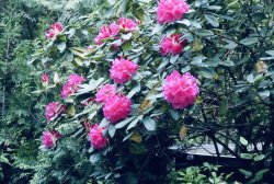 DBF9ED61-C77F-4E59-95BF-B65042F84B09.jpeg