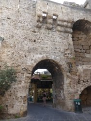 P1220100.JPG