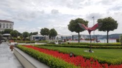20190610_112300.jpg