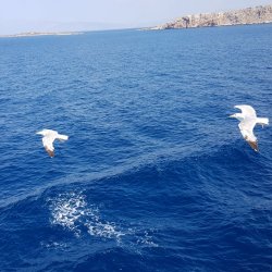 20190615_104226.jpg