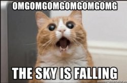 omgomgomgomgomgomg-the-sky-is-falling-omgomgomgomgomgomg-the-sky-is-falling-53813482.jpg