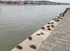 IMG_0026_2.jpg