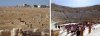Jerash buried and main theatre.jpg