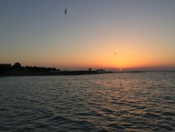 151C9F13-F93F-4056-86BF-FA4D1106C6EB.jpeg