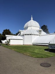 IMG_5011.JPG