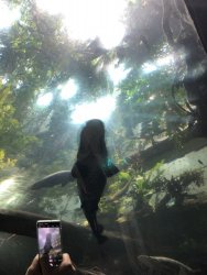 IMG_5014.JPG
