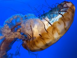 IMG_5021b.JPG