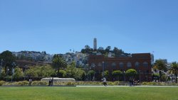 20190703_141845.jpg