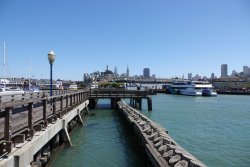DSC00537.JPG