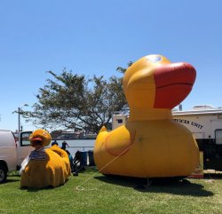 IMG_5065.JPG IMG_5065.JPG