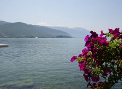 Ohrid 1.JPG