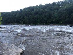 IMG_5984.JPG