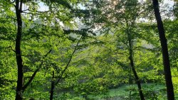 20190719_082839.jpg