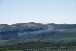 DSC01525.JPG