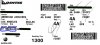 Emerald on Ticket002.jpg
