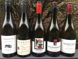 pinot1516.jpg