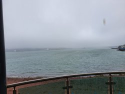20190814_180310.jpg