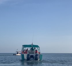 F1EDB384-455D-48F1-81FA-0D5CC68BECC6.jpeg