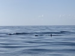 0E6F339F-0538-4F78-B7ED-ED13F0364CA3.jpeg