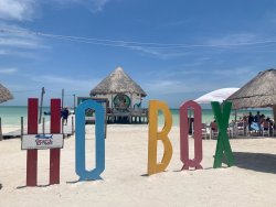 67737AAB-C165-4505-8E54-43347E2DDE50.jpeg