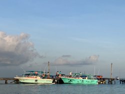 3194C6C0-A377-4C17-894A-130D6AF23B1A.jpeg