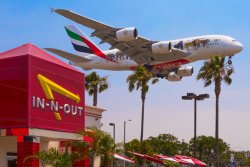 In n Out LAX.jpg
