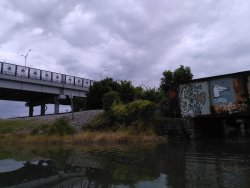 bayou.jpg