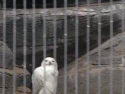 20161001102940_IMG_0005.jpg