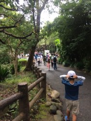 20161001103556_IMG_3950.jpg