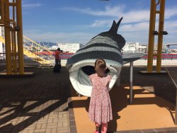 IMG_1379.jpg