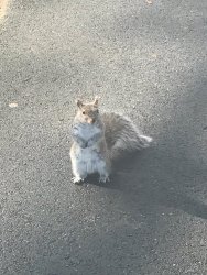 20170407092747_IMG_0071.jpg