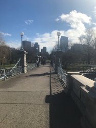 20170407093339_IMG_0096.jpg
