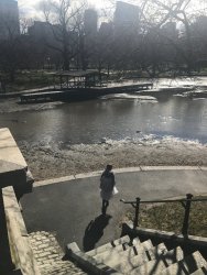 20170407093350_IMG_0527.jpg
