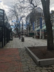 20170407105010_IMG_0241.jpg