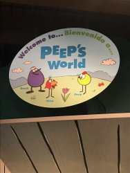 20170408123652_IMG_0754.jpg
