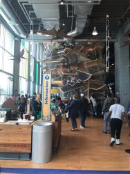 20170408121400_IMG_0728 (1).jpg