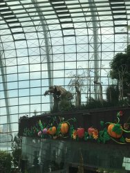 IMG_7568.jpg