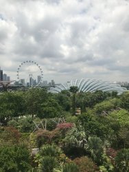 IMG_7849.jpg