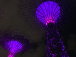 IMG_2081.jpg