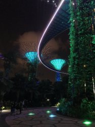 IMG_2091.jpg
