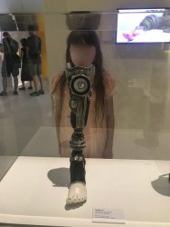 IMG_8377.jpg