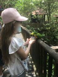 IMG_9121.jpg