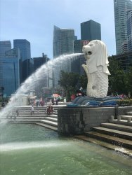 IMG_1846.jpg