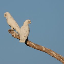DSC02012.JPG