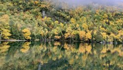 8A0E5379-6908-4CBC-8CB5-20F1CA6711EE.jpeg