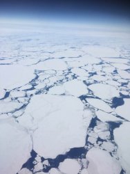 antarctic3.jpg
