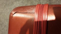 20191015_021058.jpg