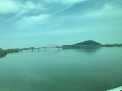 IMG_2342.jpg